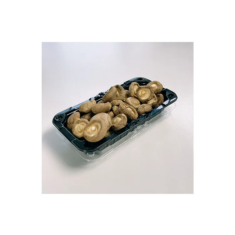 Shelf Life China High Quality Tawny Organic Shiitake Dry Mushroom Dried