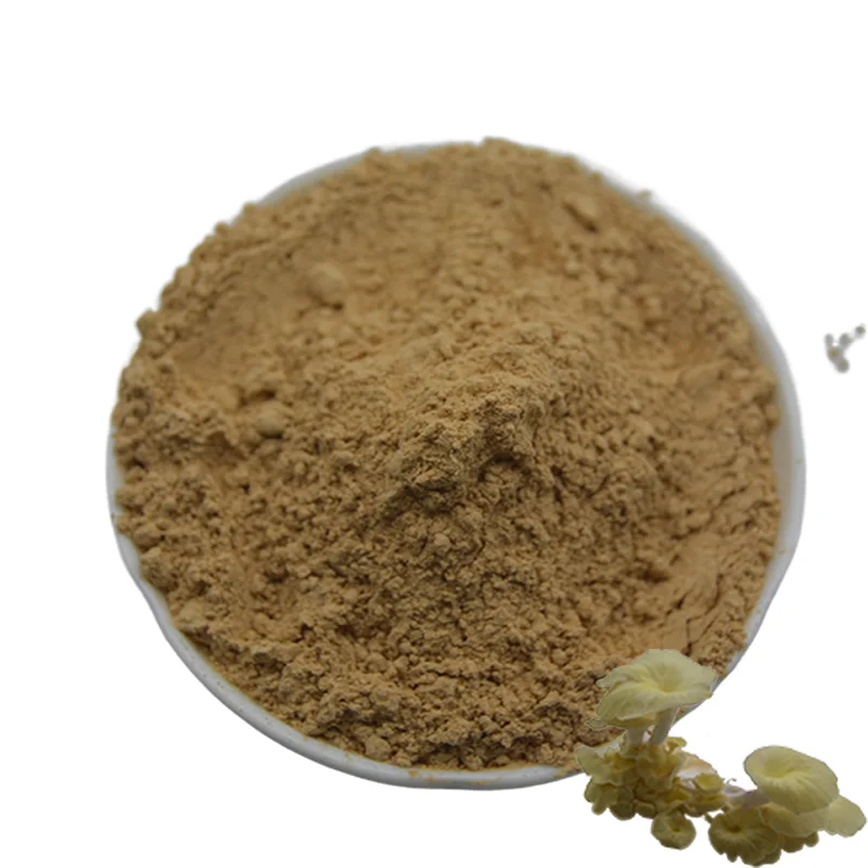 New product high quality Pleurotus Citrinopileatus powder health and food