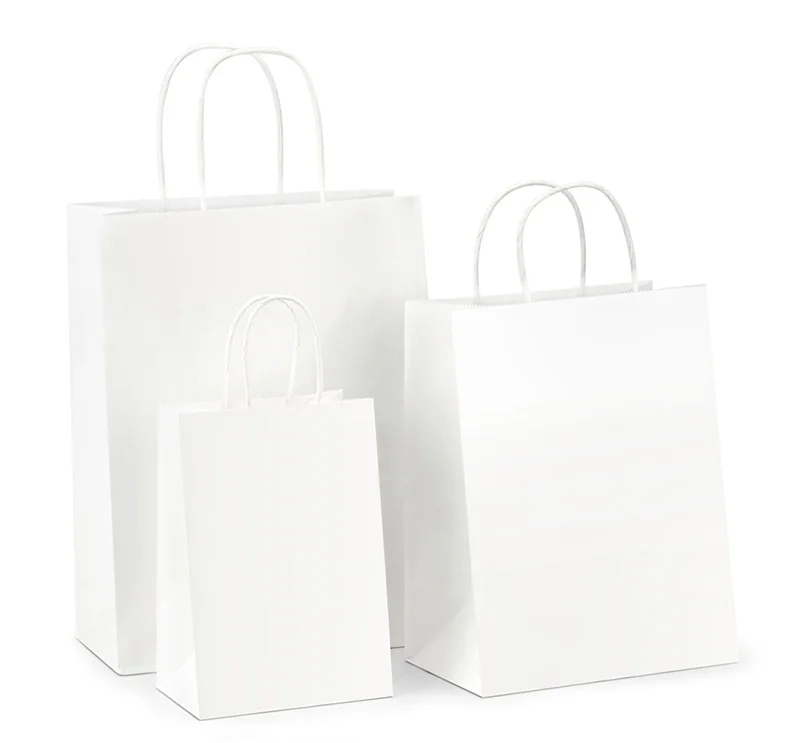 Supplier Cheapest Wholesale Twisted Handle Craft Gift Packaging Paper Bag Print China Kraft Paper Carton Small Things Accept