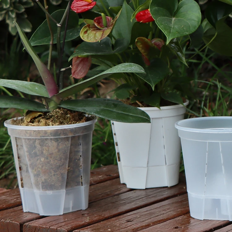 Plastic increases plant flower soft thermoforming Phalaenopsis orchid root nursery flower pot factory price