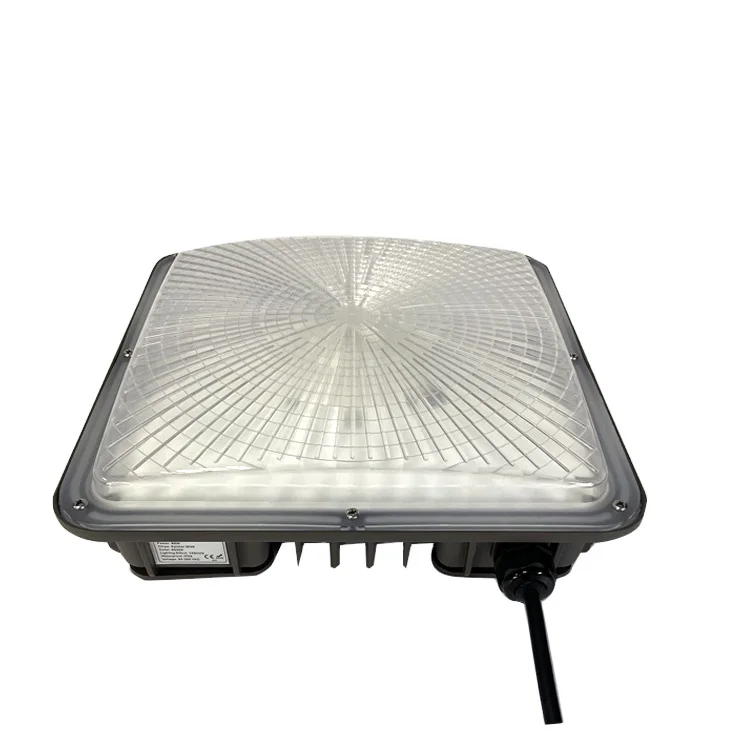Новый Модернизированный уличный 40W60W80W100W120W IP65 водонепроницаемый навес для гаражной заправочной станции светодиодные лампы навеса