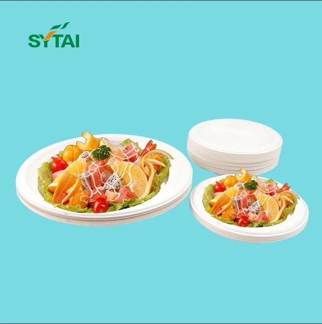 100% Biodegradable Dinnerware Round Plates Made of Sugarcane Fibers Compostable Dinner Tableware Dish Plates