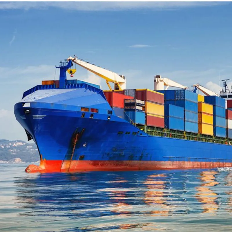Preponderant High Quality transport Container Freight Forwarder lower Sea shipping charges from China to UK