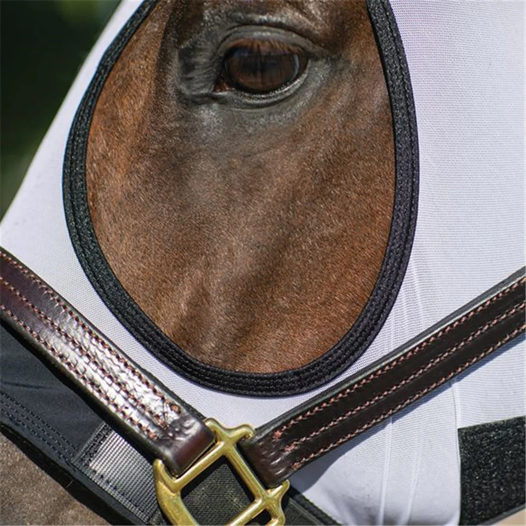  2021 Popular selling 13934 mesh horse rug