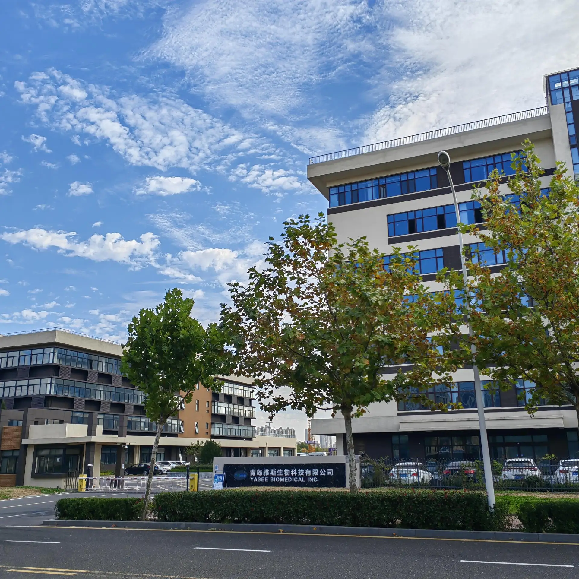 diabetic products with or without diabetic test strips house-service detector