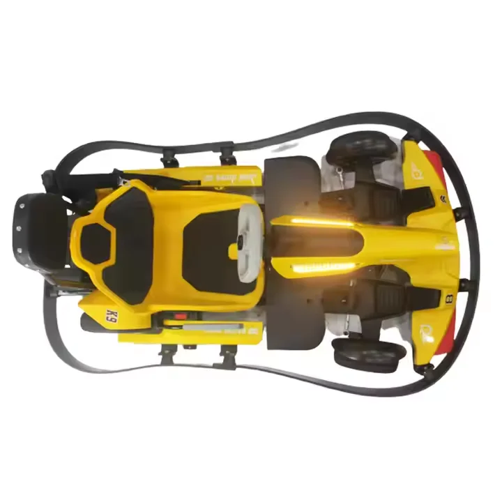 Cheap price go karts electronic brake and mechanical brake scalable electric go karts for kids and adults