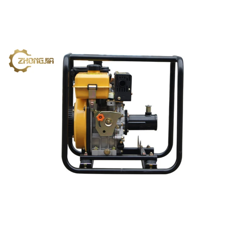 China Manufacturer Portable Small Diesel Engine Concrete Vibrator