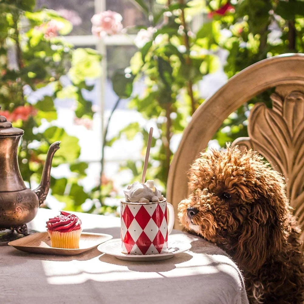 Wooden Stick Coffee Drink Paper Wrapped Stirrer For Coffee Beverage