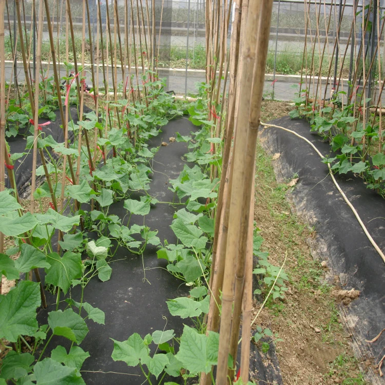 greenhouse winter biodegradable agricultural 100%pp nonwoven fabric film weed mat control plant freeze  protection cover mulch