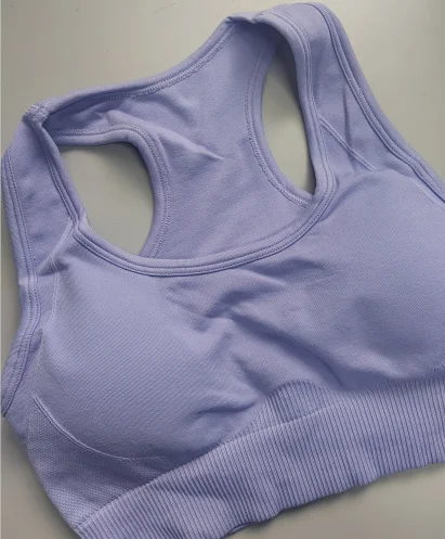 Sports Bra Tops Women's Gym Clothing Promotion Drop Shipping Seamless Pants Sportswear Casual Stretch Seamless Yoga Set