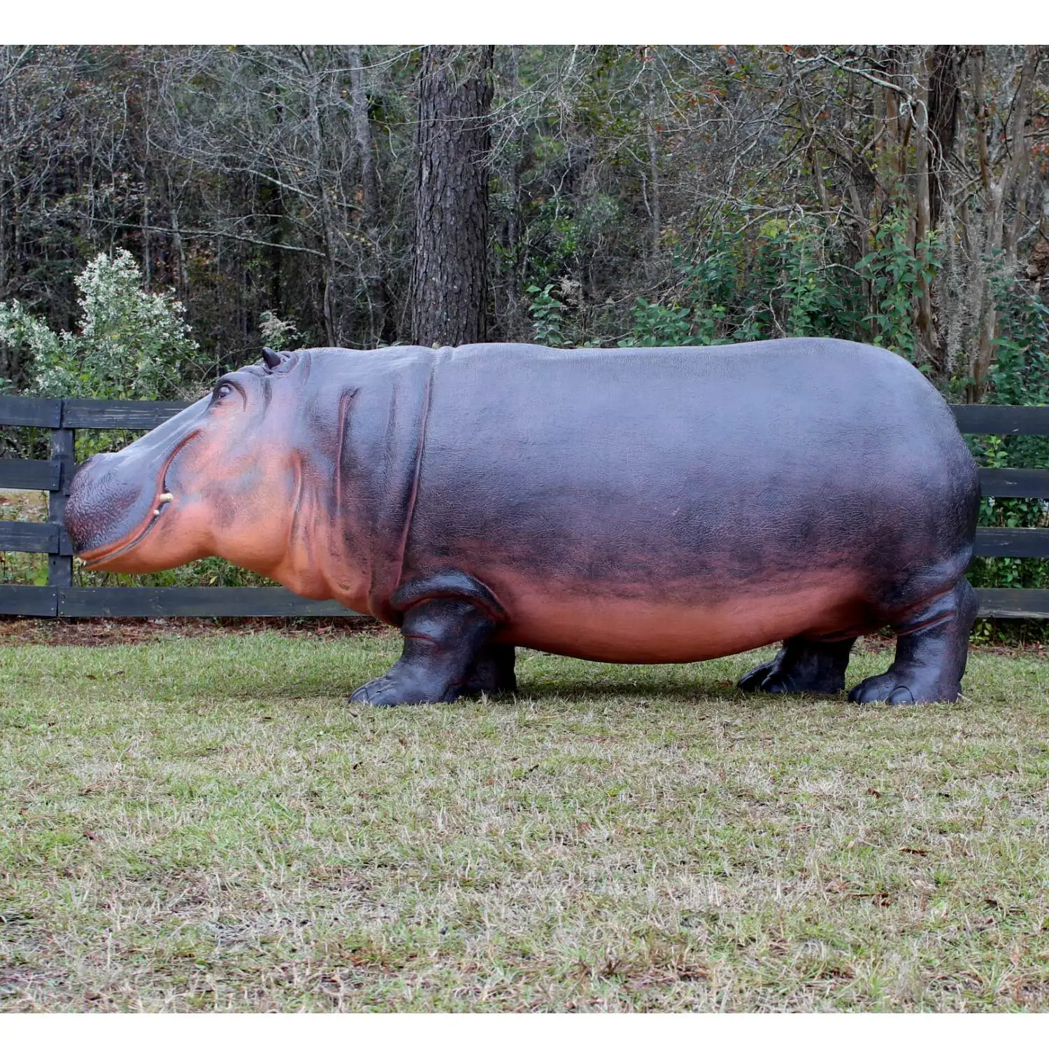 Simulation Jungle Animal model Animatronic Life Size Silicone/fiberglass Hippo