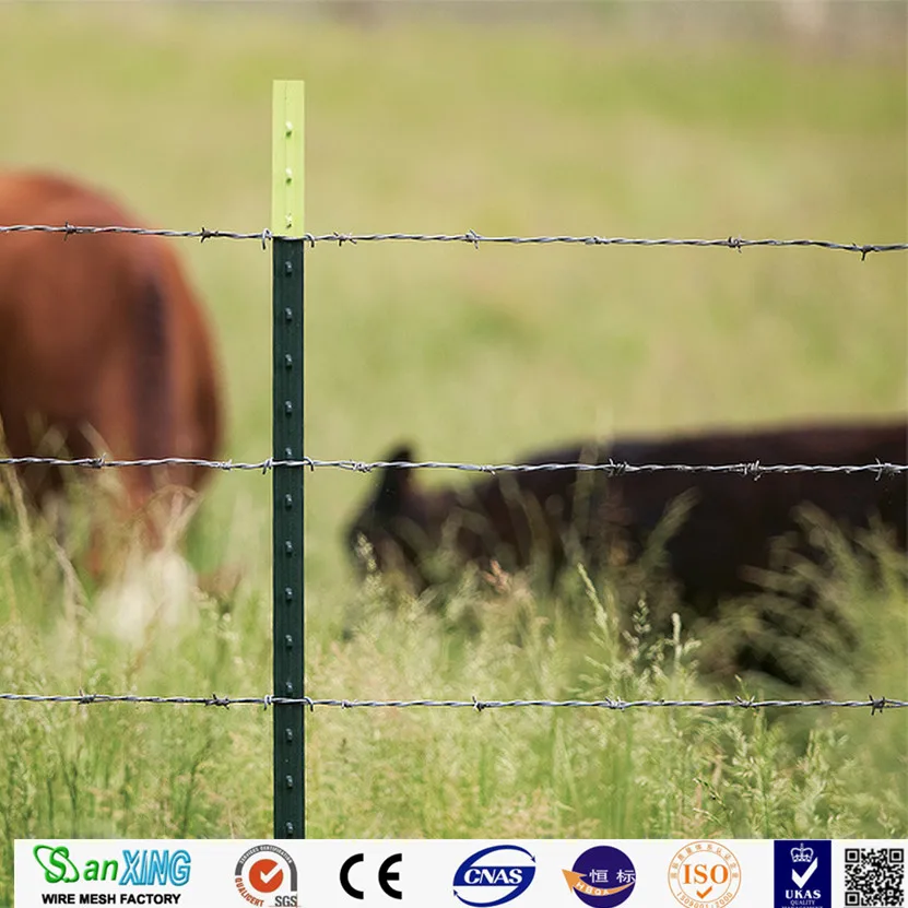 American Farm 6 ft t-post Galvanized T grape stake Fence picket iron Green metal farm T post fence post for sale