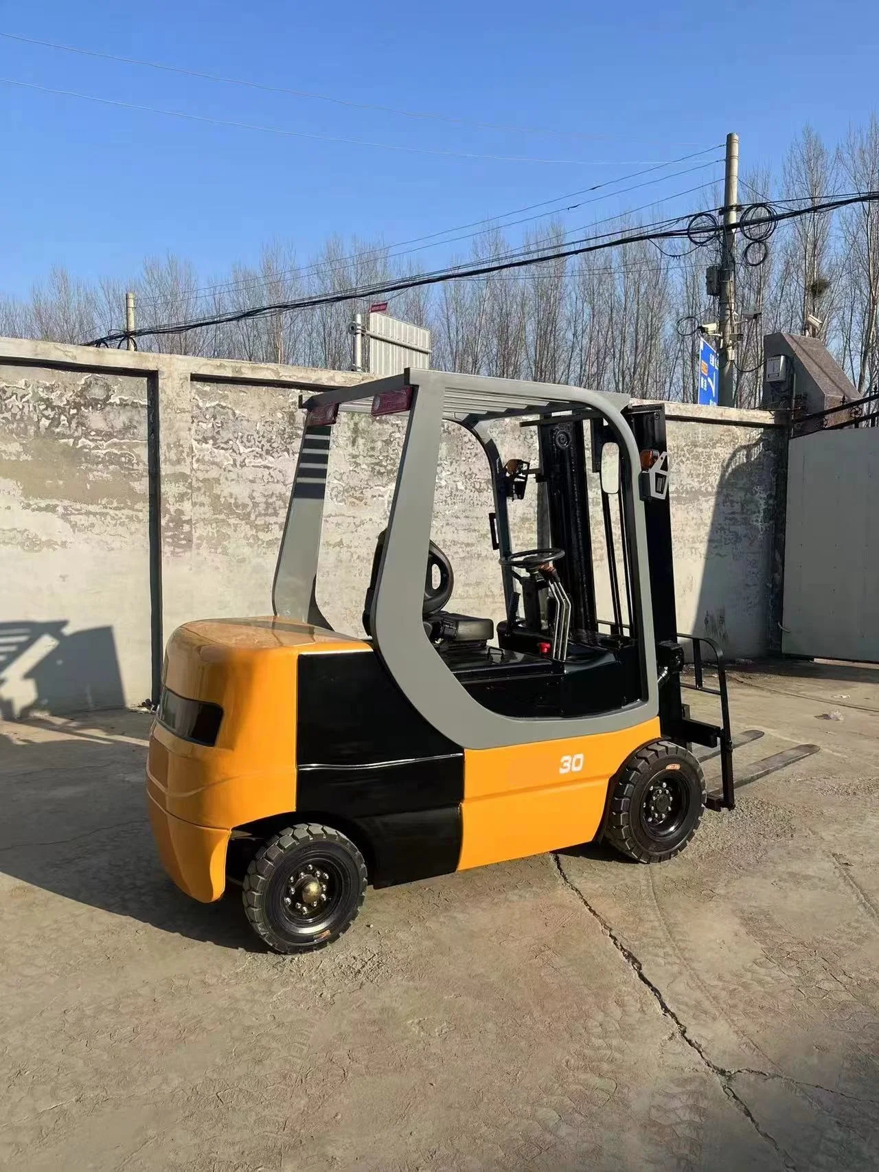 Deposit 3 Ton Electric Forklift CE Certification Customized Wholesale Multifunctional