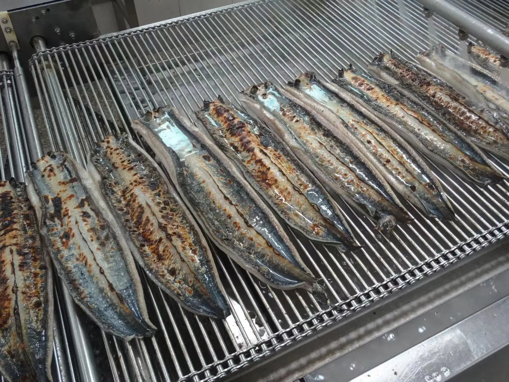 Frozen Fish Food Live Glass Eel Unagi Eel