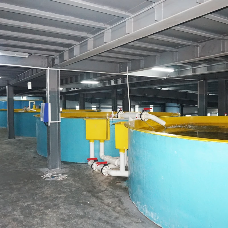 Indoor high density fish farm aquaculture system for grouper or seabass fish