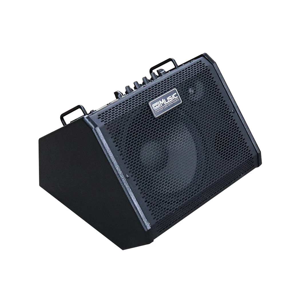 Chinese Factory Supply Big Power Personal Monitor Amplifier Electronic Drum Sets Amplifier Keyboard Speaker 80W with 2 Input