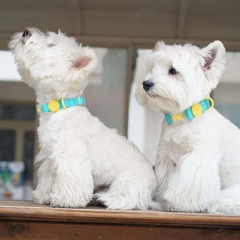 2023 pet supplies High Quality Anti-Mold Waterproof PVC Vinyl Coated Polyester Webbing Hunting Dog Accessories PVC Collar