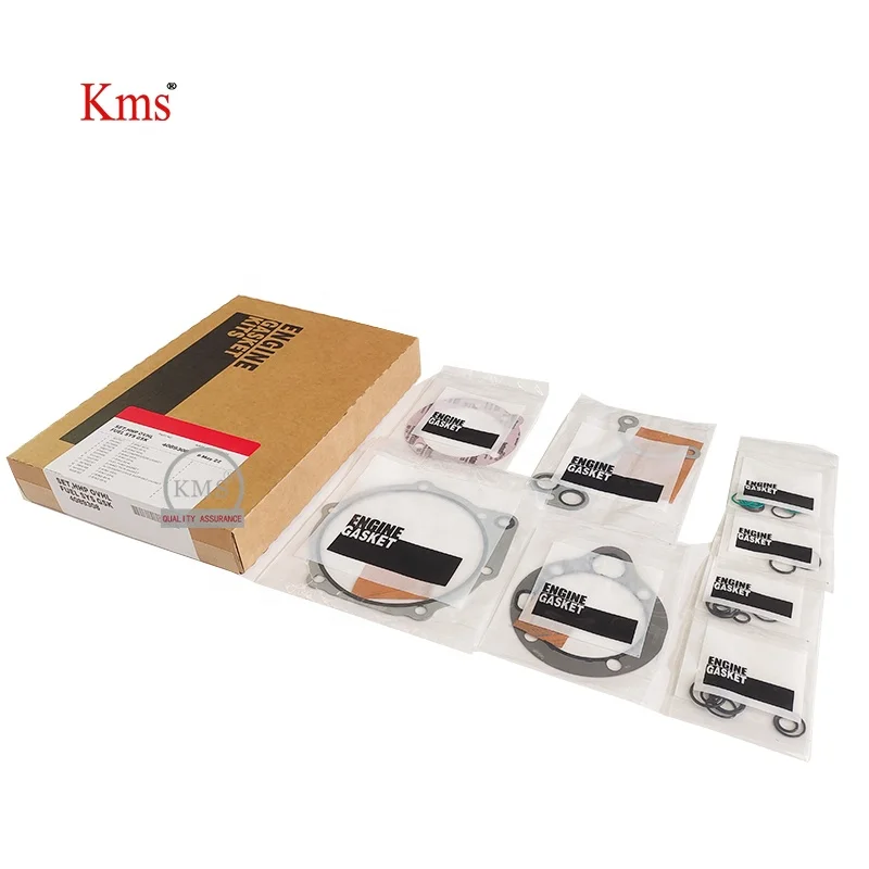 KMS Chinese factory High quality  QSK60 K60 4089308 3800492 Fuel pump gasket repair kit