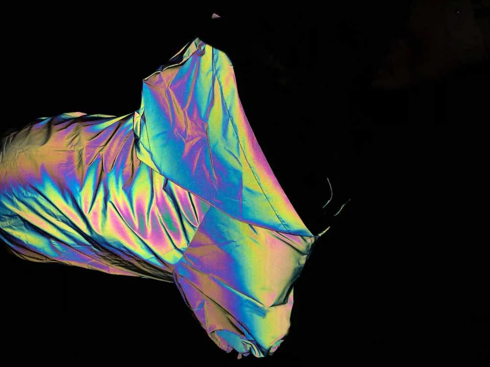 Custom new design outdoor safety high visibility waterproof hounds coat jacket pet reflective vest dog jackets outwear clothing