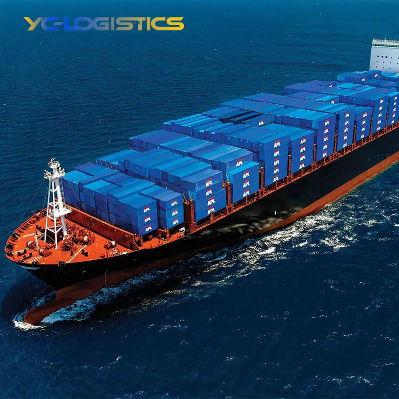 DDP By Sea freight shipping freight forwarder china to Germany/Australia FBA door to door
