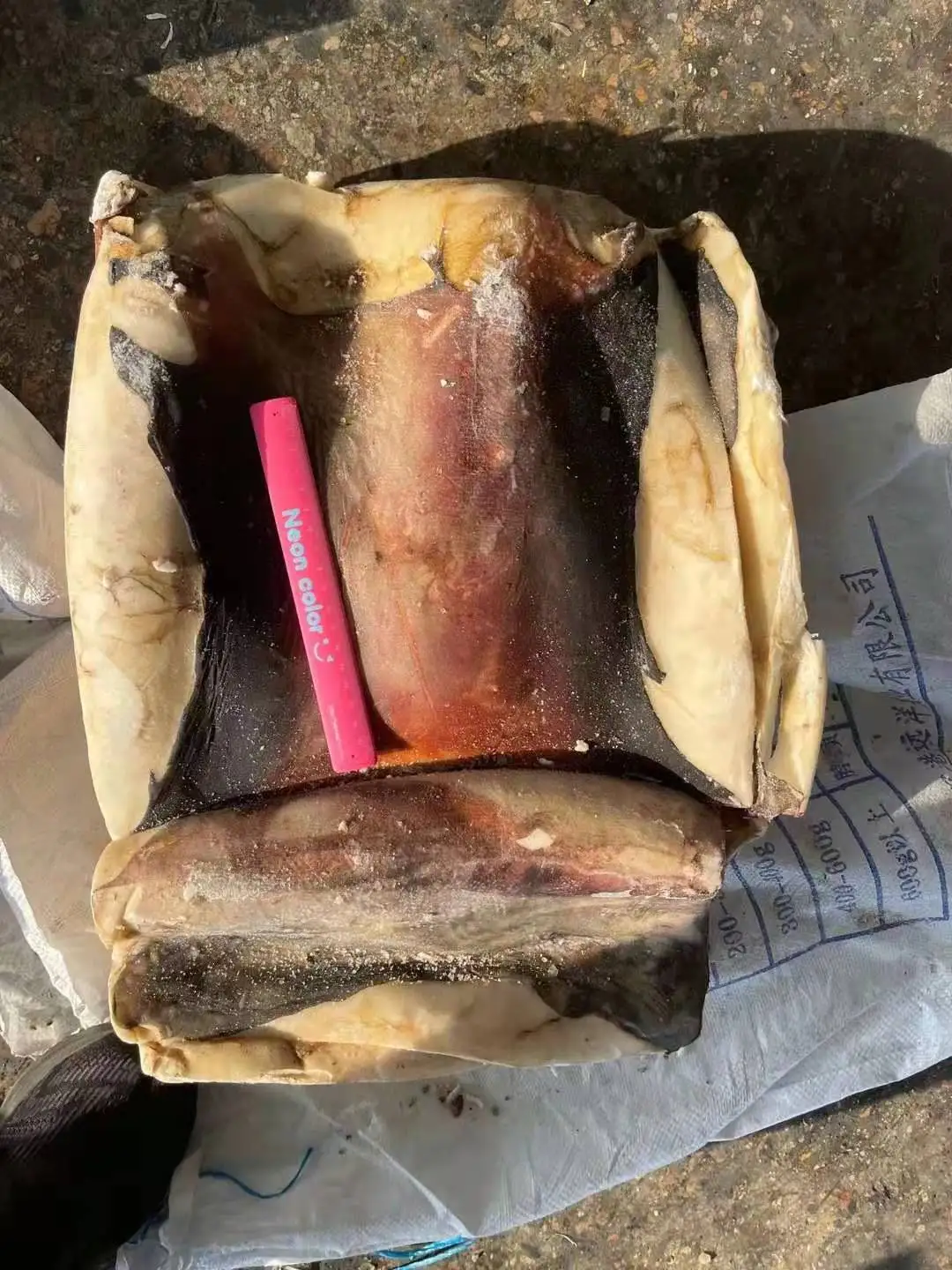 Wholesale Good Sale Seafood Frozen Peru Squid Meat With Skin Giant Squid Fillet