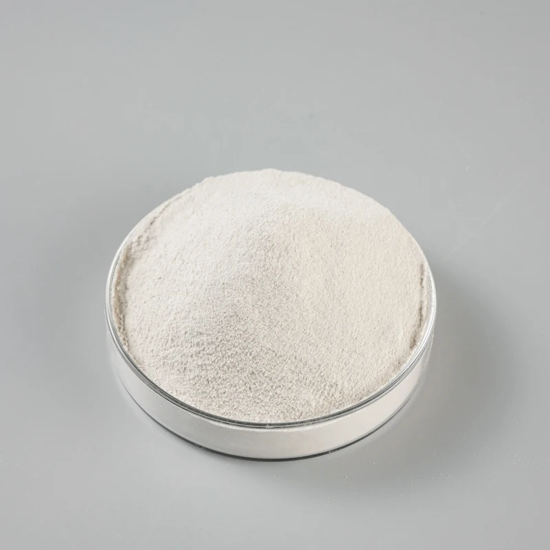 Factory Custom gypsum plaster retarder powder gypsum retarder powder retarder gypsum