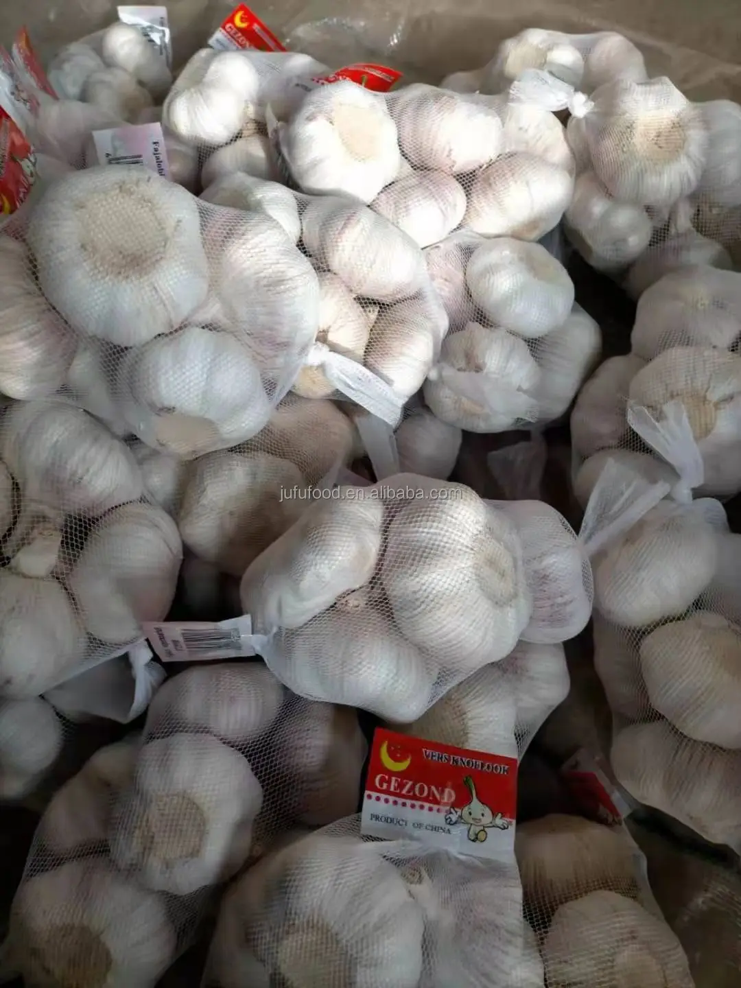 Garlic Planter / Farmer in China with Good Price