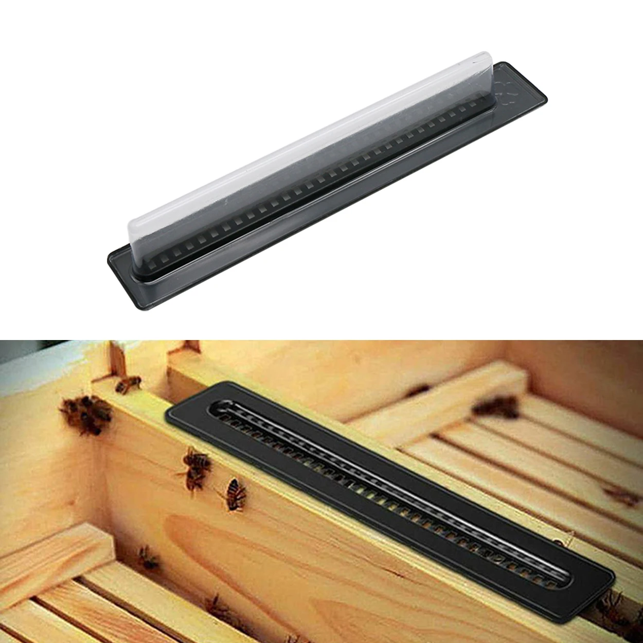 Beekeeping Equipment Tools Bee Hive Beetle Blaster Beehive Trap Beehive Beetle Trap Queen Catcher