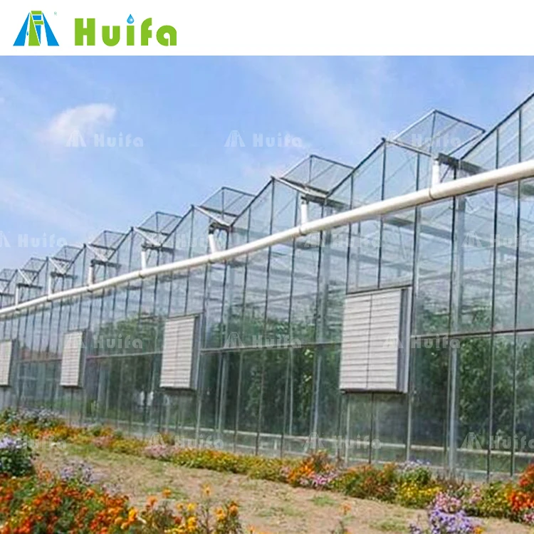 Modern Venlo Glass Nigeria Vegetable Greenhouse Multi-Span Commercial Flowers Green House With Tomato Hydroponic System