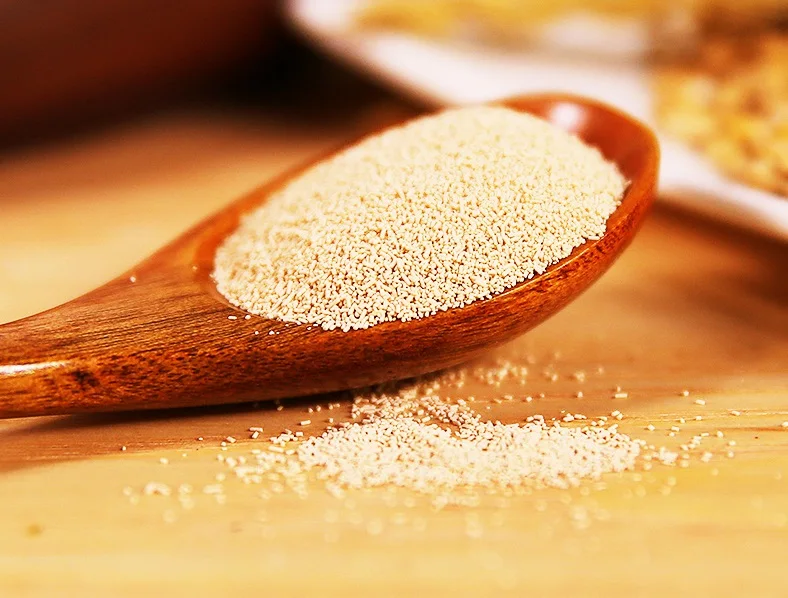 Angel Ale Beer Dry Yeast CS31 for craft beer houses microbrewery