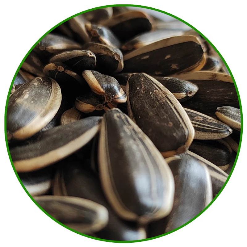 China Quality 363 Sunflower Seeds Sunflower Seed Supplier Fresh Sunflower Seeds Customizable Size