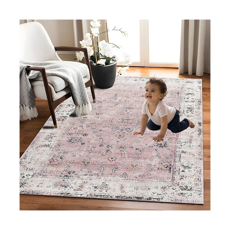 Area Rugs for Bedroom Living Room Carpet Soft Indoor Floor Rug for Kids Girls Boys Home Baby Floor Mat