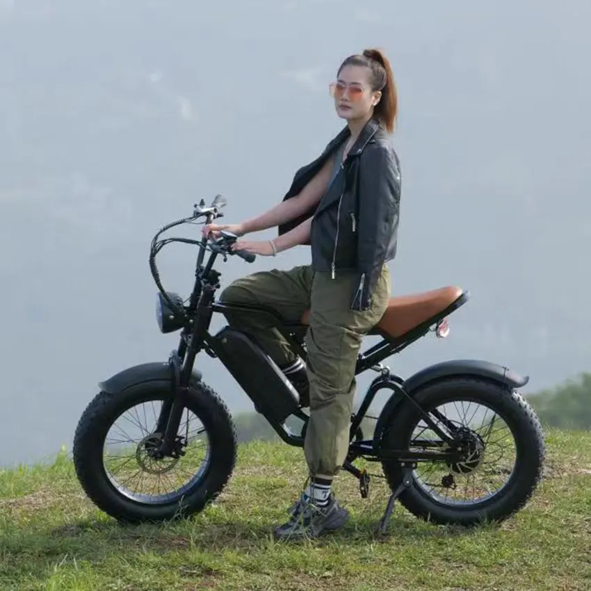 Factory Wholesale Fatbike 750W Electric Bike 20Inch*4.0 Fat Tire Electric Bike Full Suspension Electric Hybrid Bike
