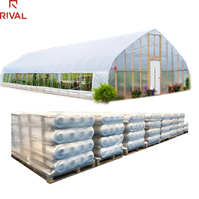 Greenhouse Plastic Film 200 Micron for Agricultural Usage and Greenhouse Tunnel Greenhouse Plastic film for Vegetables/Flowers