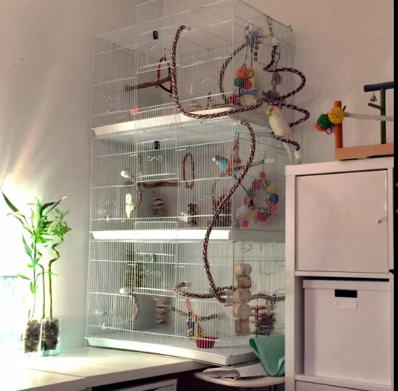 Большая железная проволока 60*40*40 на заказ, оптовая продажа, клетка для птиц, размноженных голубей