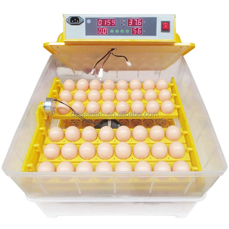 Factory outlet WQ-60 egg incubator, incubator for 60 eggs, chicken egg incubator price for sale,