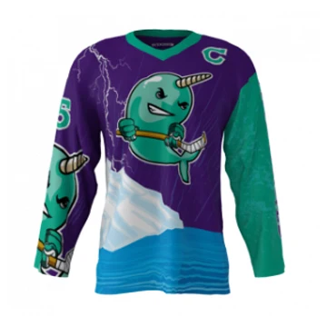 OEM Wholesale Sublimated Custom Team Ice Hockey Jersey For Any Sizes