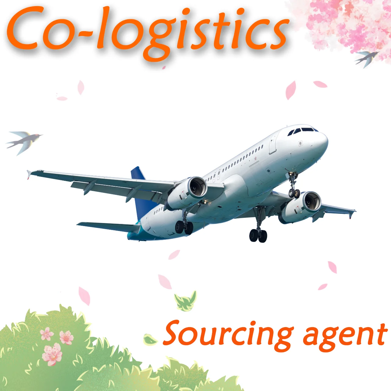 Shipping agent  Pakistan with best service custom  Canada UK cargo shipping amazon  door to door courier/express delivery