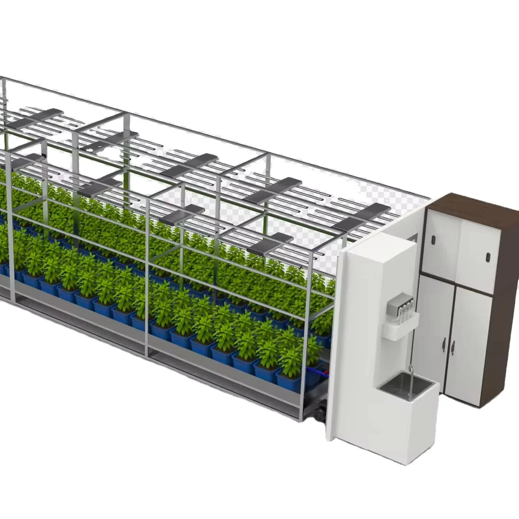 Skyplant  40-foot mushroom planting container farm hydroponics artificial climate mushroom planting factory