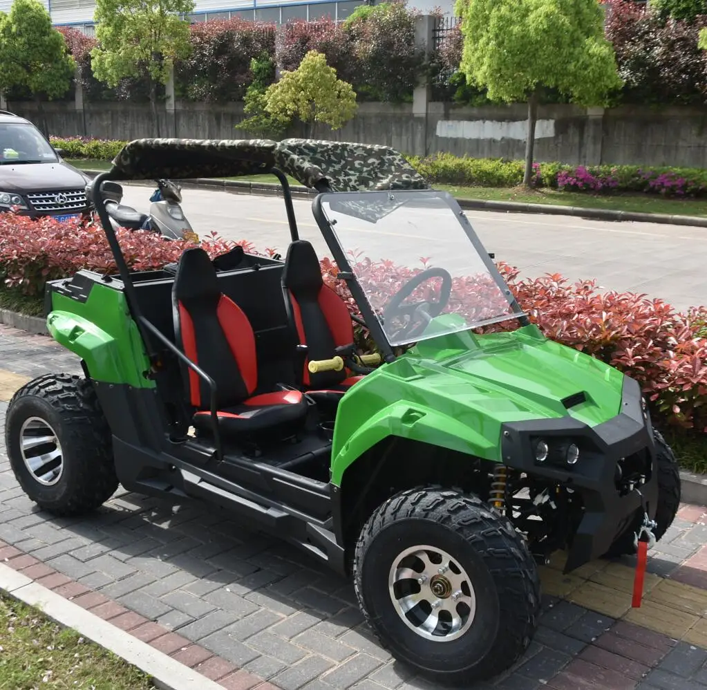 Chinese Good Quality 60V/72V 1800W 2200W Electric Mini Buggy UTV Utv Side By Sides UTV