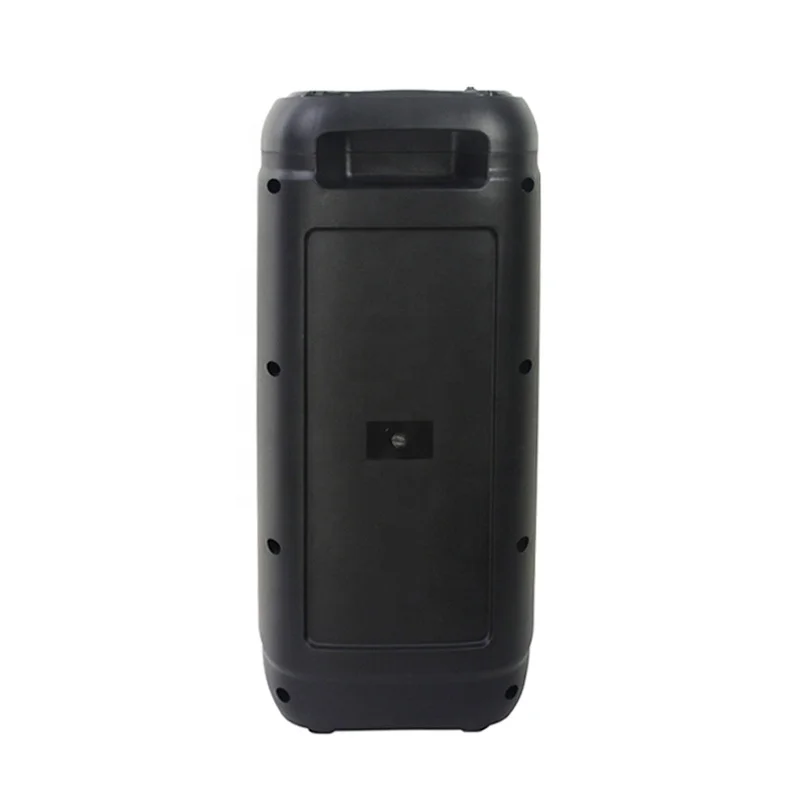 2024 Temeisheng TMS-613 Dual 6.5 Inch 10W RMS karaoke machine with LED light sound speaker echo show party box for Gathering