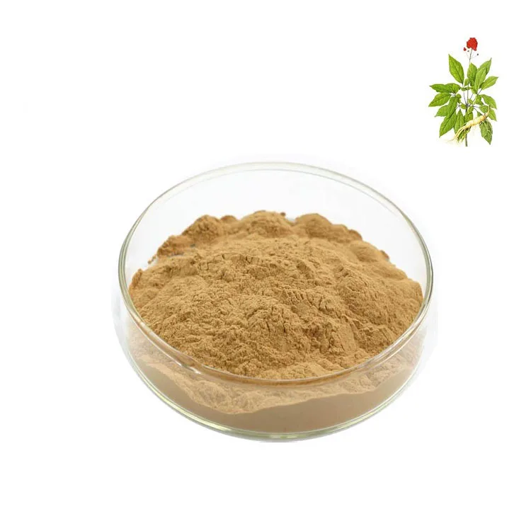 GMP Factory High Quality Panax Ginseng Root Extract 8~80% ginsenoside