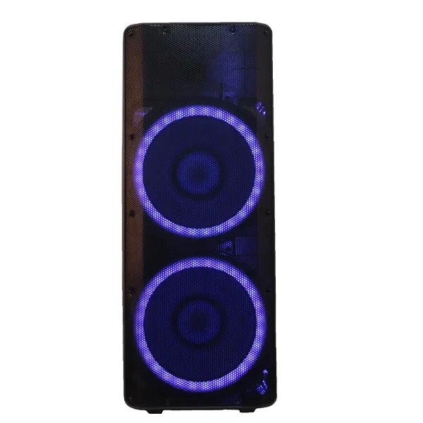 Double 15inch Rechargeable Battery Speaker RGB Lighting Plastic Active Wireless Microphones