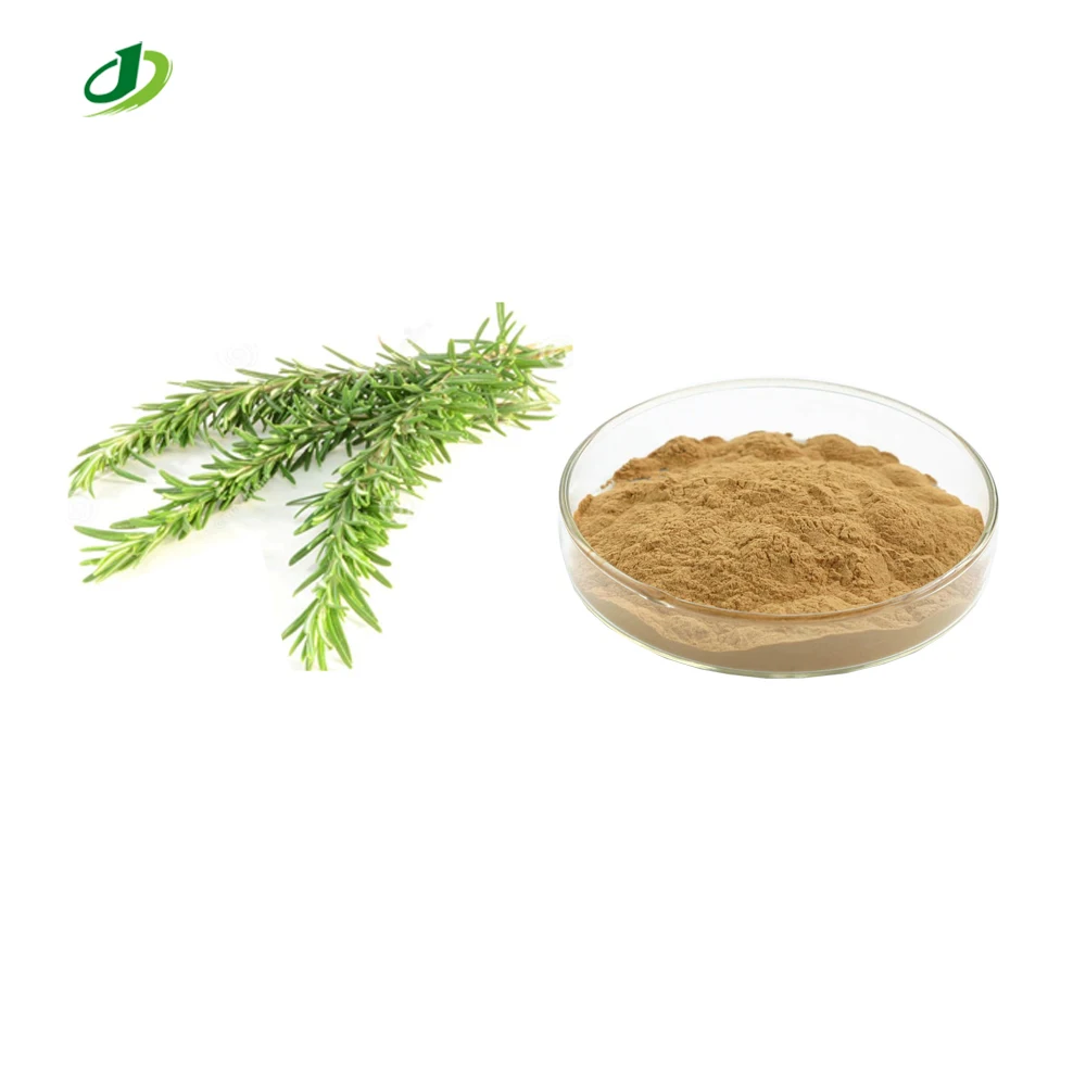 Rosemery extract powder Rosmarinus Leaf Extract 20:1
