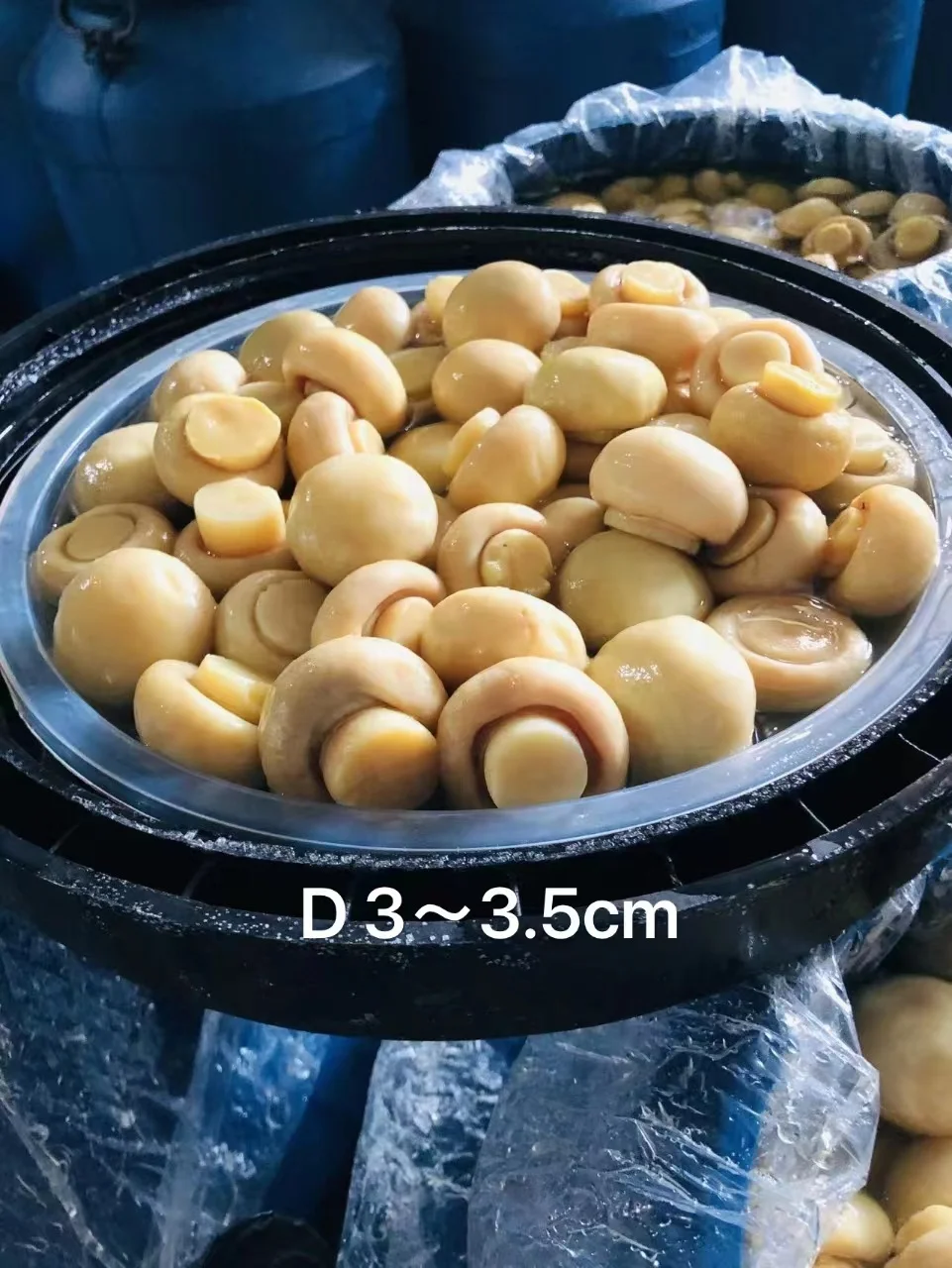 mushroom whole and slices in plastic drum