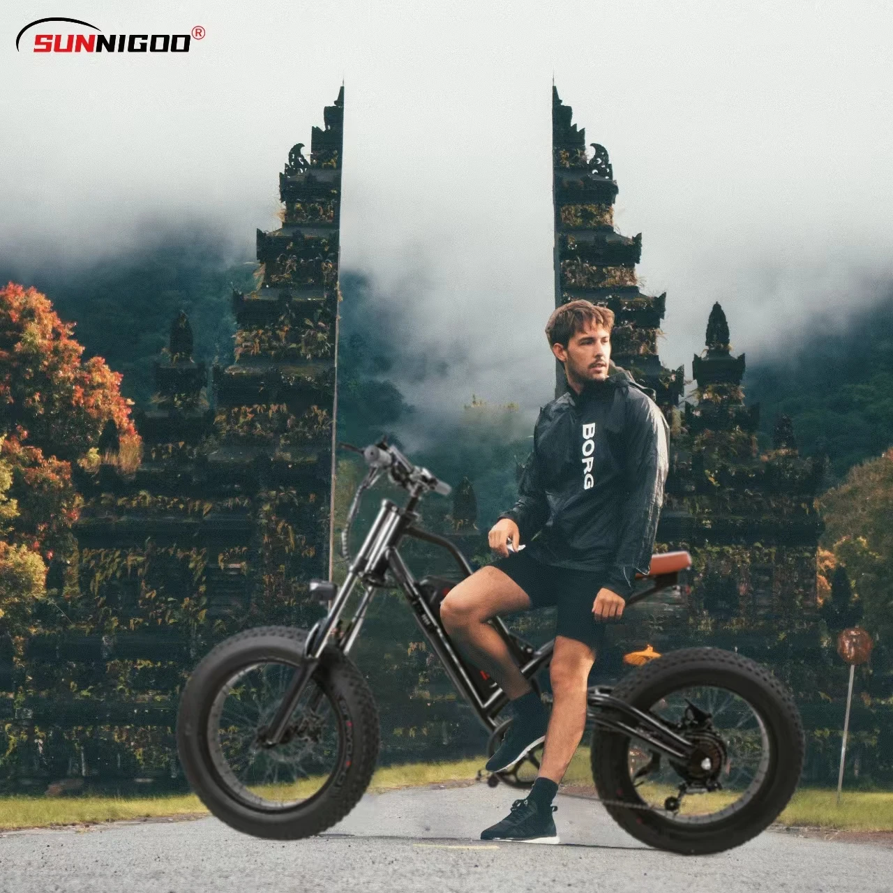 Double Shoulder Aluminium Spring Fork Full Suspension Electric Mountain Bicycle With 20inch Fat Tire electric bike