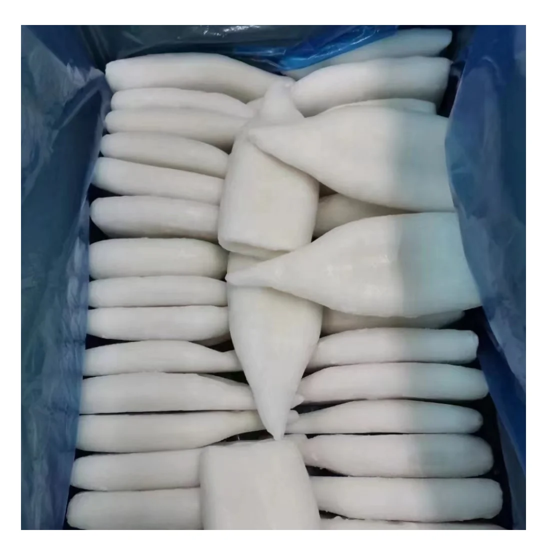 Frozen Seafood Cleaned Peru Giant Squid Tube U3 U4 U5 U7 U10 Dosidicus Gigas Illex Calamari Tubering BQF/RQF Galzing Indonesia