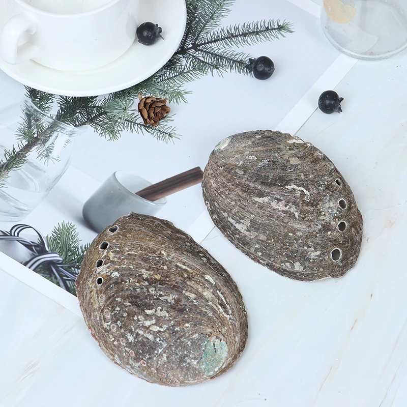 Фабрика Celion оптовая продажа набор для очищения дома растушевки ракушки в