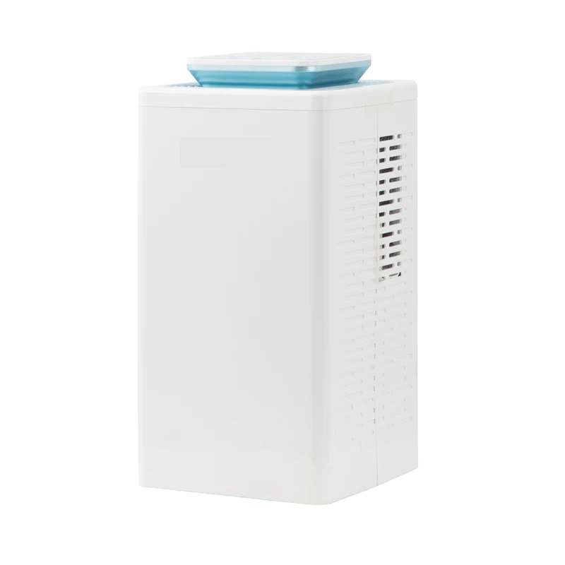 
Portable Electric Air Dehumidifier Mini for Home Use 
