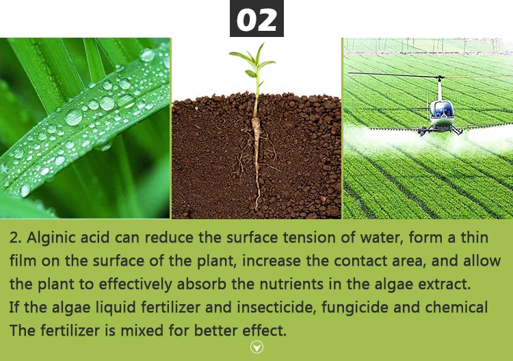 High Effective Liquid Seaweed Fertilizer Lowest price Chinese factory Compound alginic acid Fertilizer For Fruit & flowers